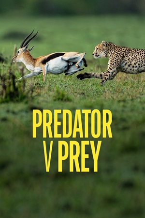 Predator v Prey